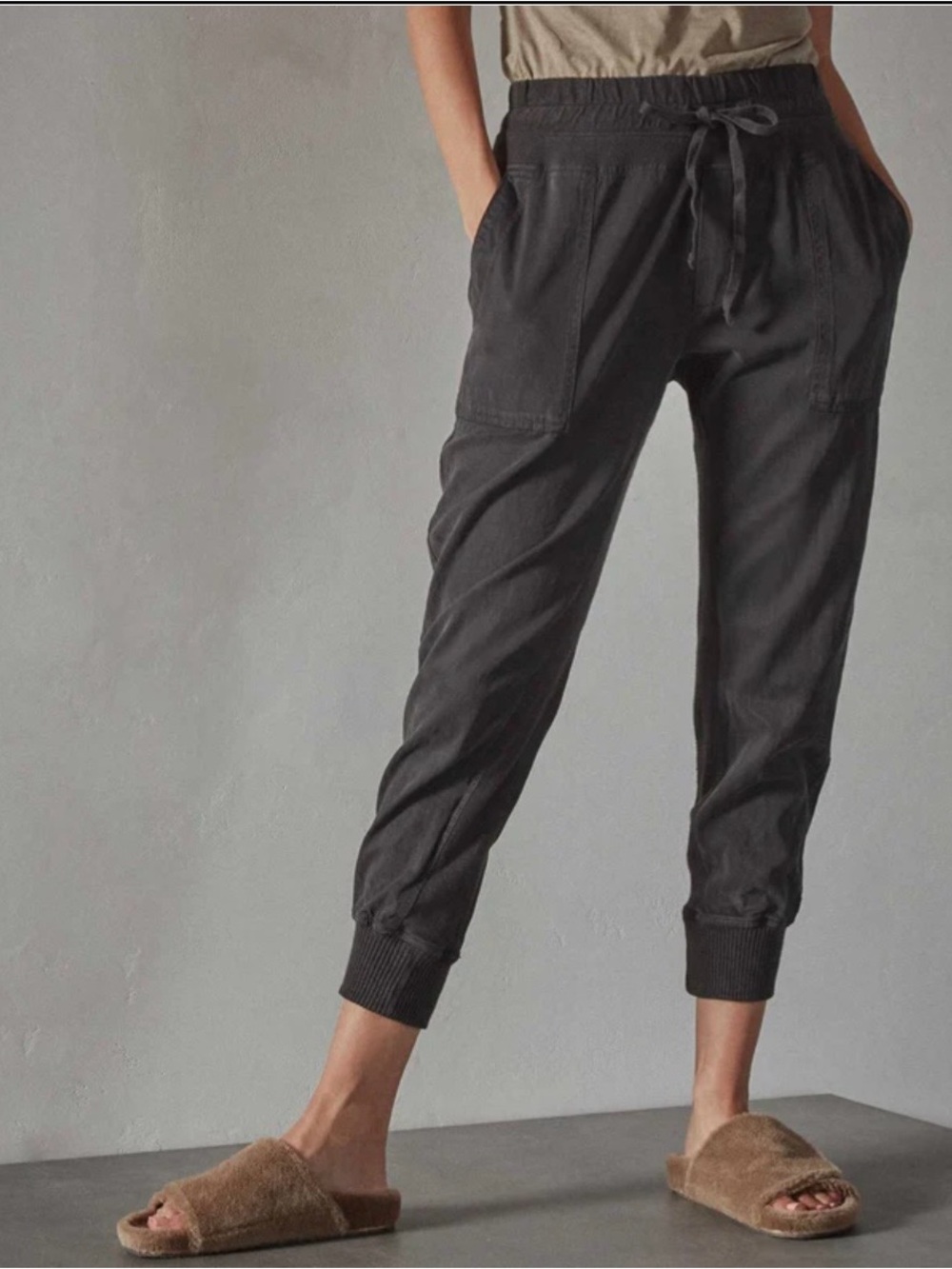James Perse Mixed Media Pants (Joggers) in Carbon.